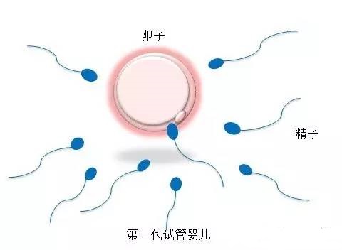 试管代怀公司